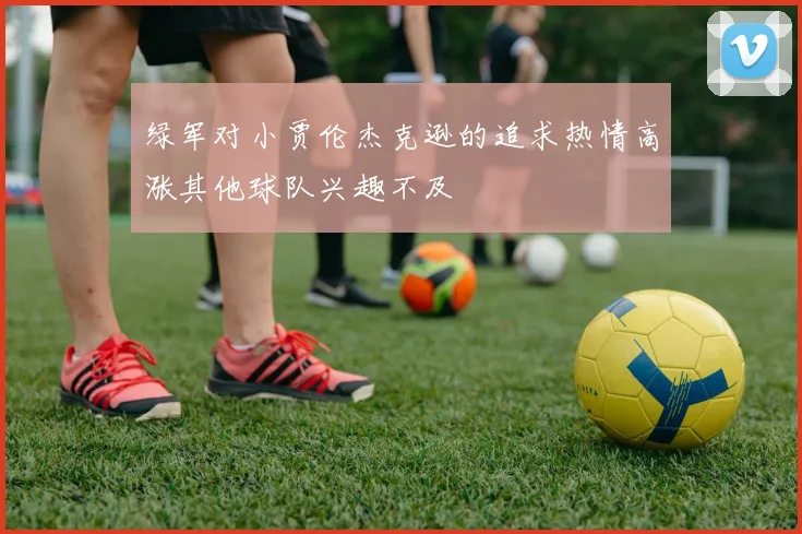 绿军对小贾伦杰克逊的追求热情高涨其他球队兴趣不及