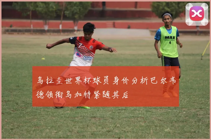 乌拉圭世界杯球员身价分析巴尔韦德领衔乌加特紧随其后